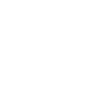 google icon white