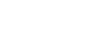google review logo white