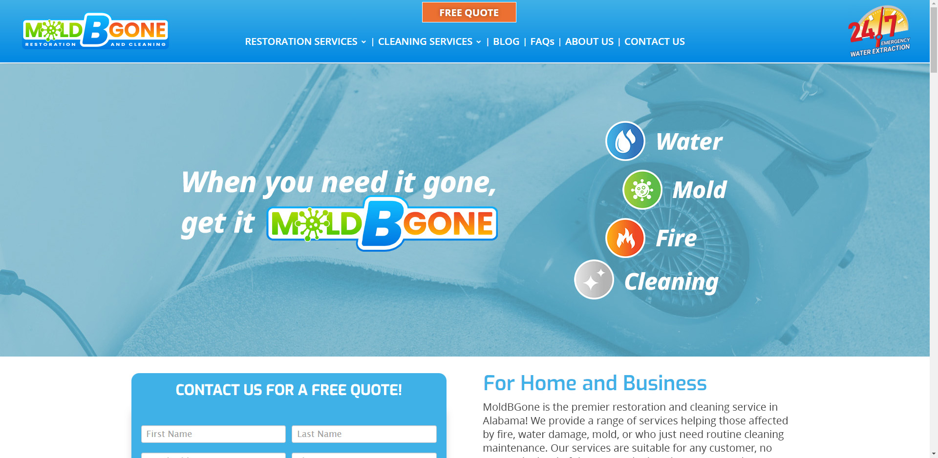 mold b gone web page
